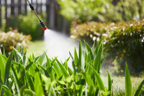 24/7 Emergency Mosquito Control experts in South Russell, OH