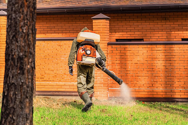 Trusted Ant Control service in South Russell, OH - Nex Pest Control